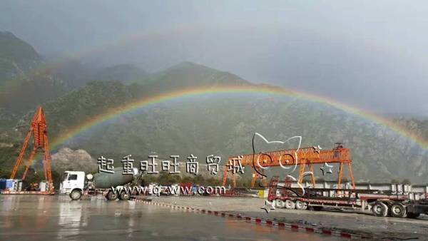 Which is a good gantry crane