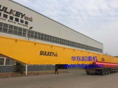 QDtype20T-39MEuropean universal double beam crane shipment